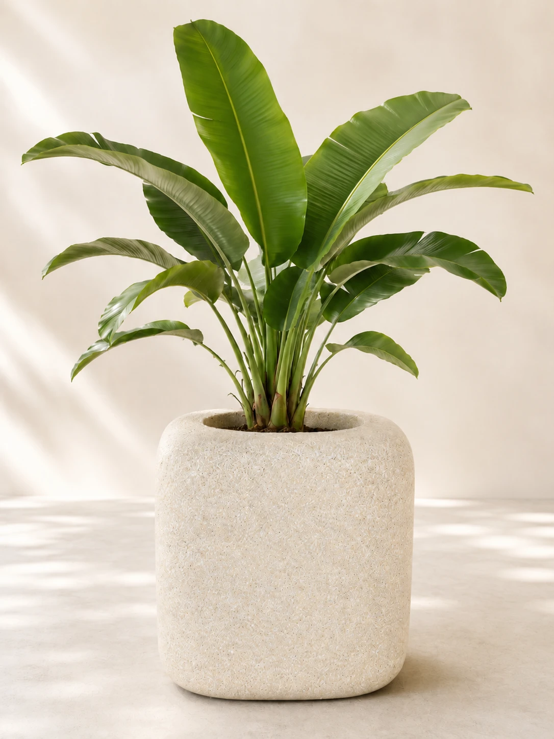 Dizajnový kvetináč Banana Leaf, Aurea Forma